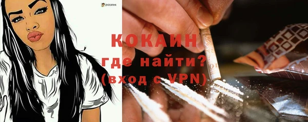 спиды Богданович