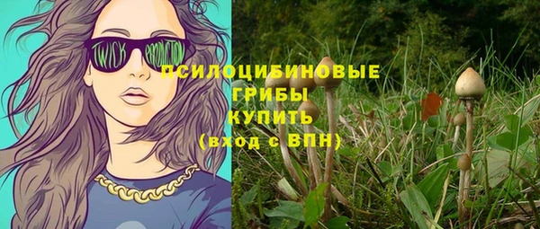 тгк Богородицк