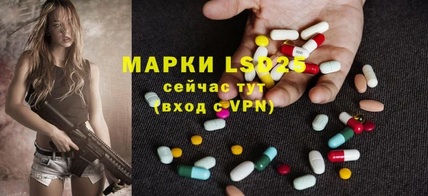 спиды Богданович
