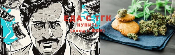 тгк Богородицк