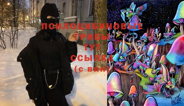 бошки Богородск