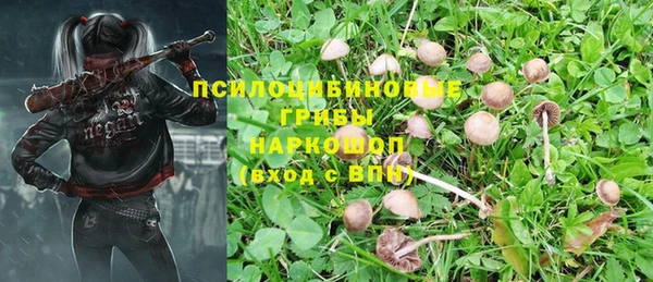 спиды Богданович