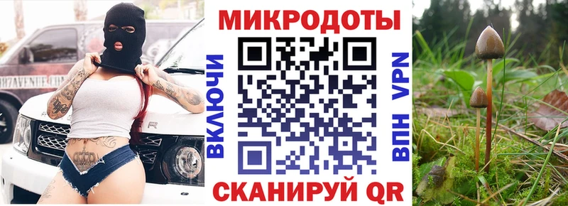 Псилоцибиновые грибы мухоморы  Верещагино 